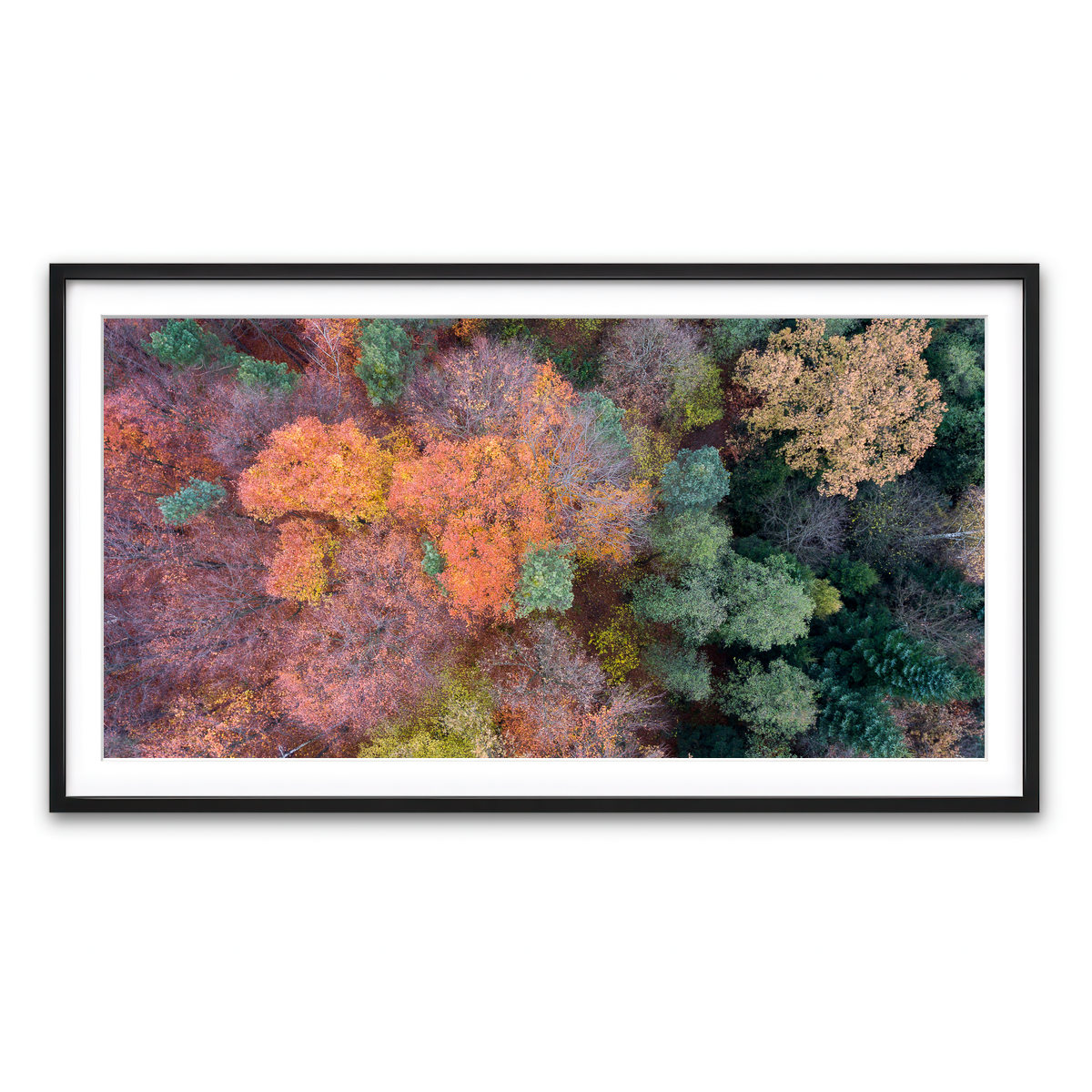 Framed Print 2x1 Black