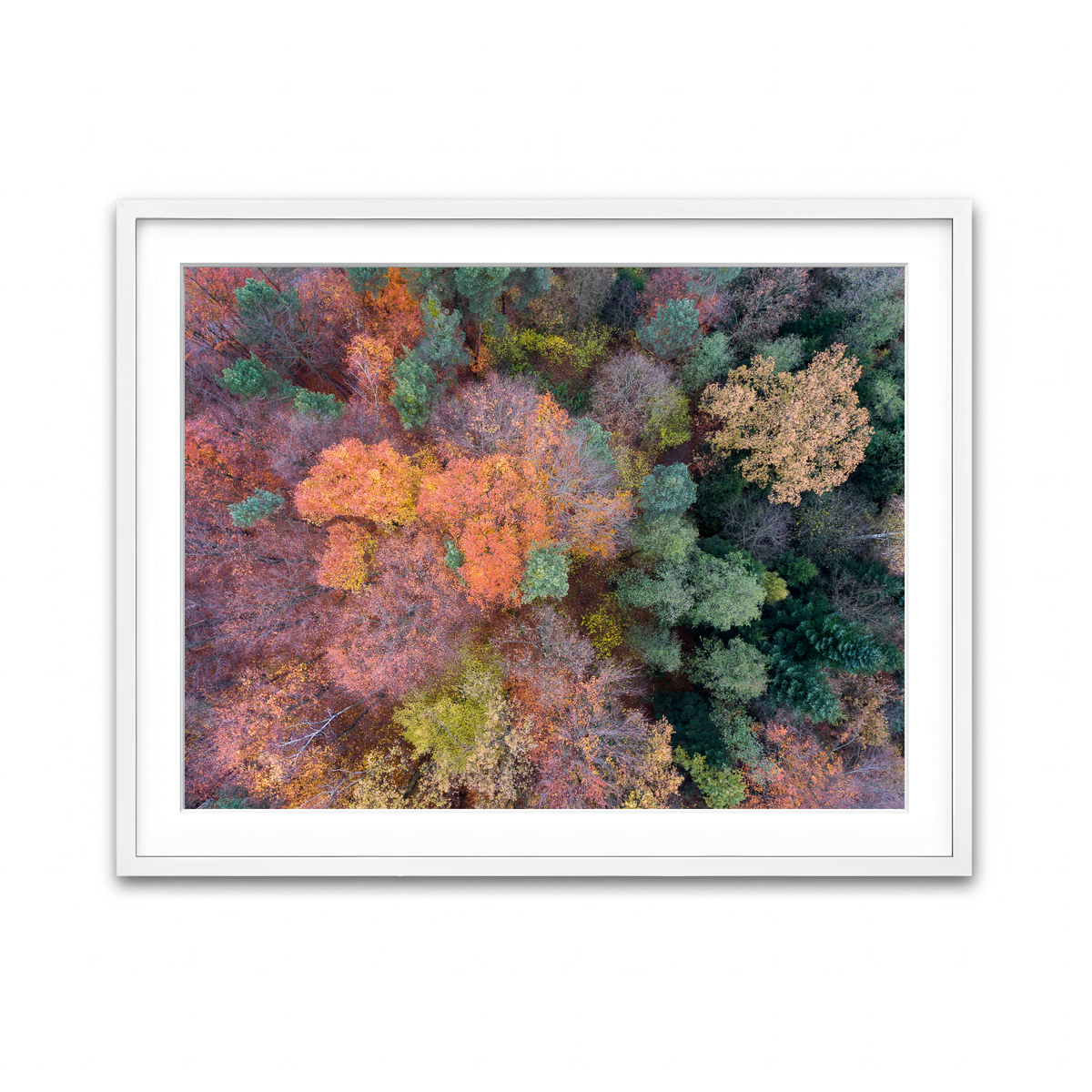 Framed Print 4x3 White