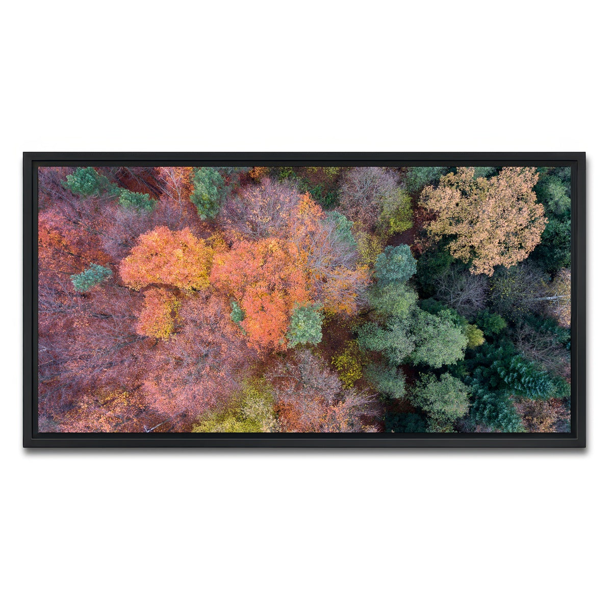 AUTO-MOCKUP WHITE | Orange and Green | 1 Piece | Black Framed Canvas | group=2x1