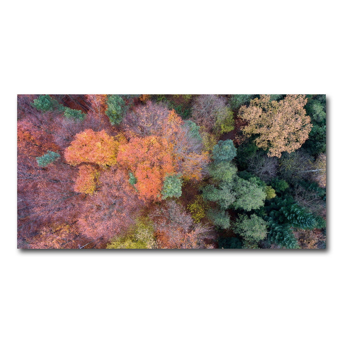 AUTO-MOCKUP WHITE | Orange and Green | 1 Piece | Gallery Wrap Canvas | group=2x1