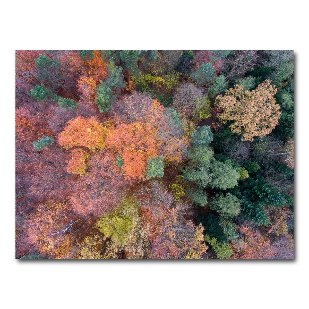 AUTO-MOCKUP WHITE | Orange and Green | 1 Piece | Gallery Wrap Canvas | group=4x3