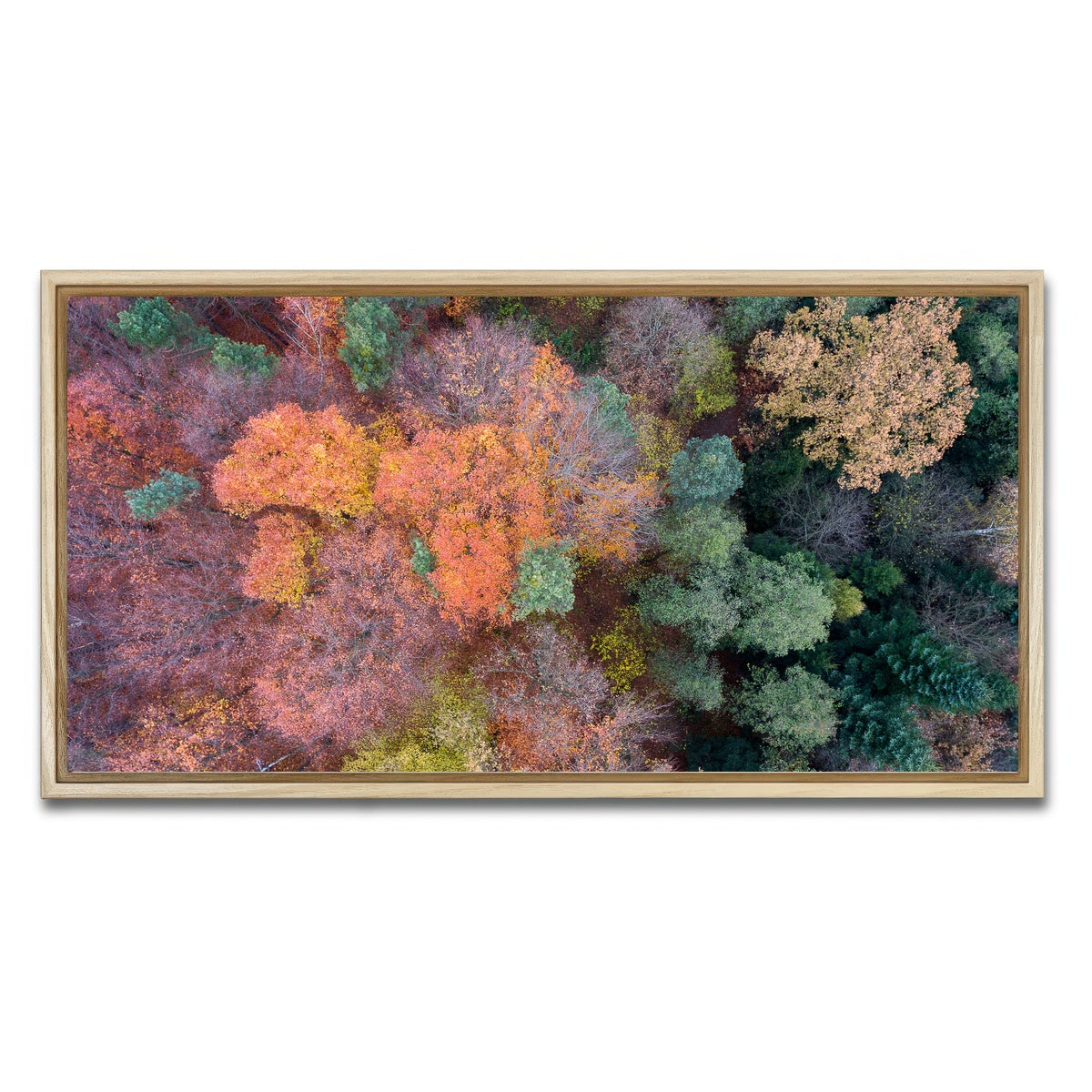 AUTO-MOCKUP WHITE | Orange and Green | 1 Piece | Natural Framed Canvas | group=2x1