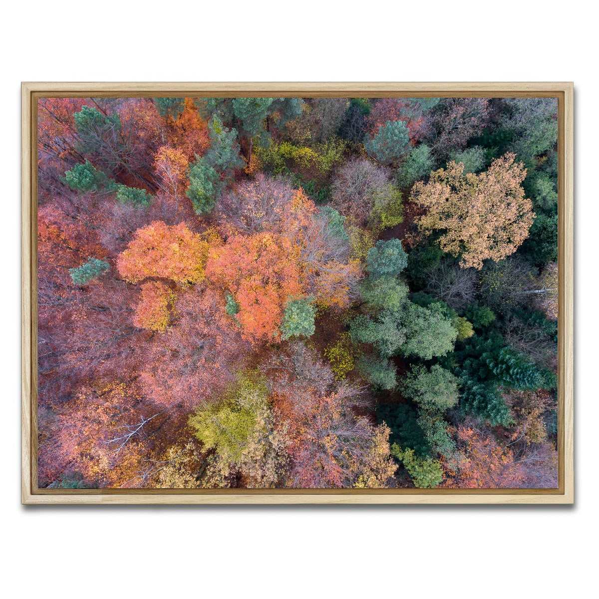 AUTO-MOCKUP WHITE | Orange and Green | 1 Piece | Natural Framed Canvas | group=4x3