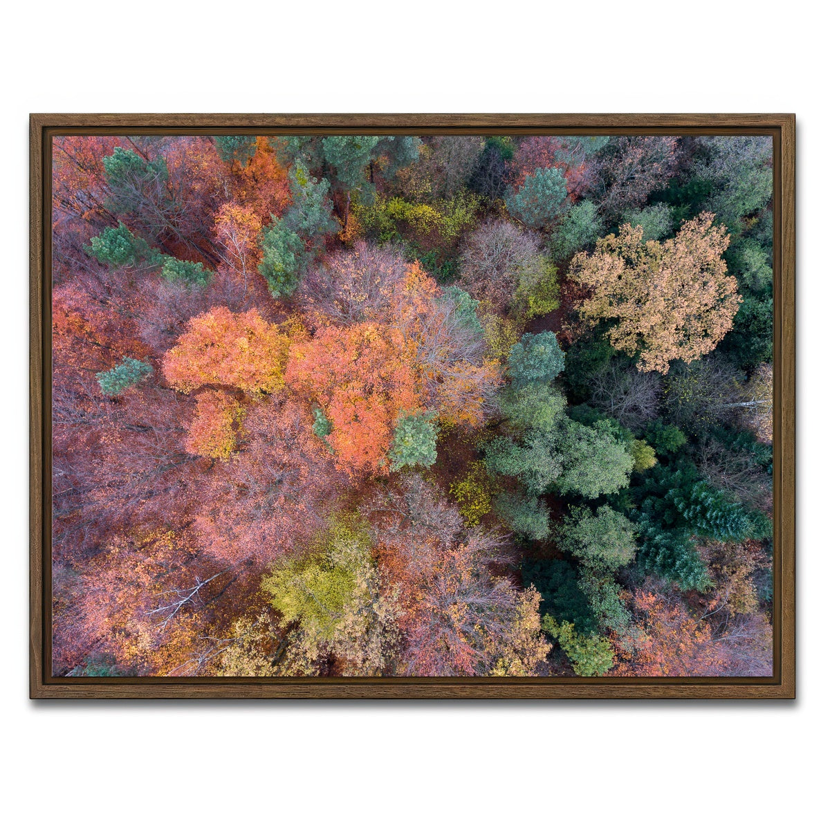 AUTO-MOCKUP WHITE | Orange and Green | 1 Piece | Walnut Framed Canvas | group=4x3