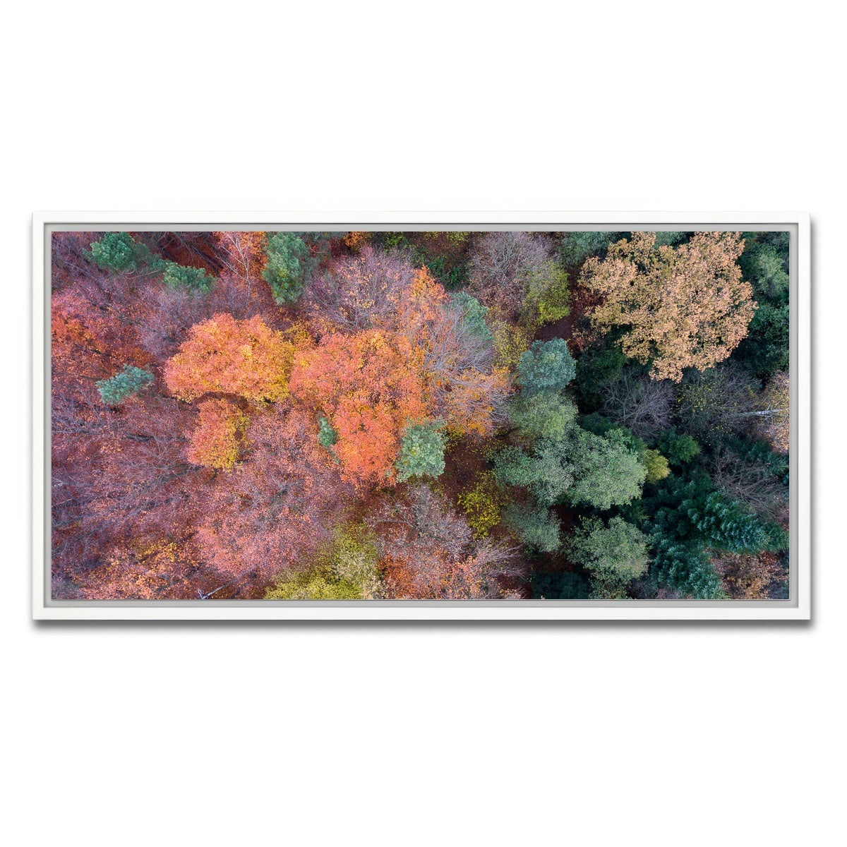 AUTO-MOCKUP WHITE | Orange and Green | 1 Piece | White Framed Canvas | group=2x1