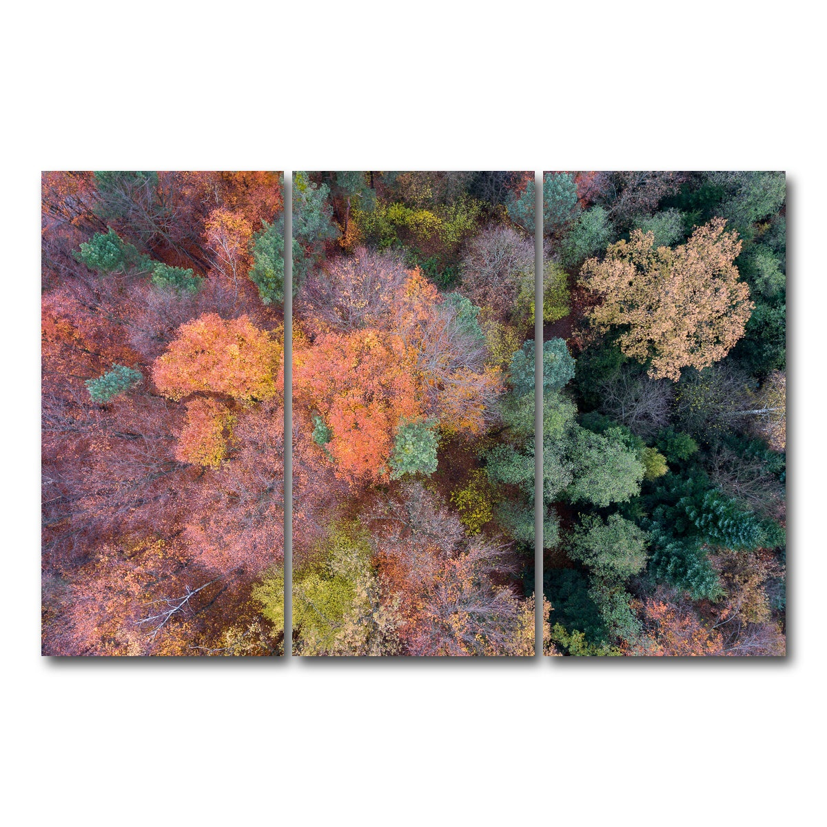 AUTO-MOCKUP WHITE | Orange and Green | 3 Piece | Gallery Wrap Canvas | group=12x24