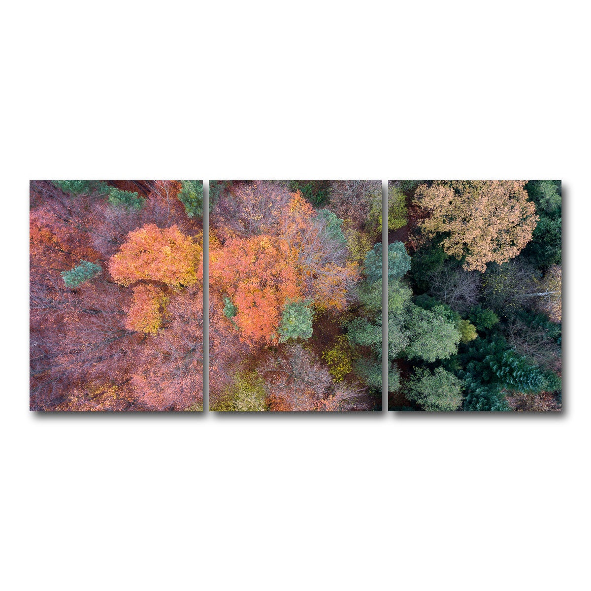 AUTO-MOCKUP WHITE | Orange and Green | 3 Piece | Gallery Wrap Canvas | group=18x24