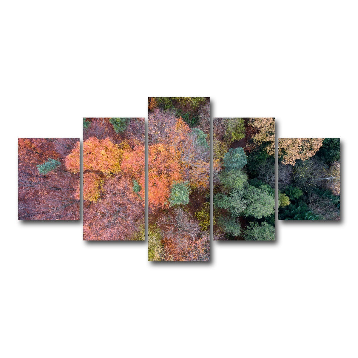 AUTO-MOCKUP WHITE | Orange and Green | 5 Piece | Gallery Wrap Canvas | group=5_short