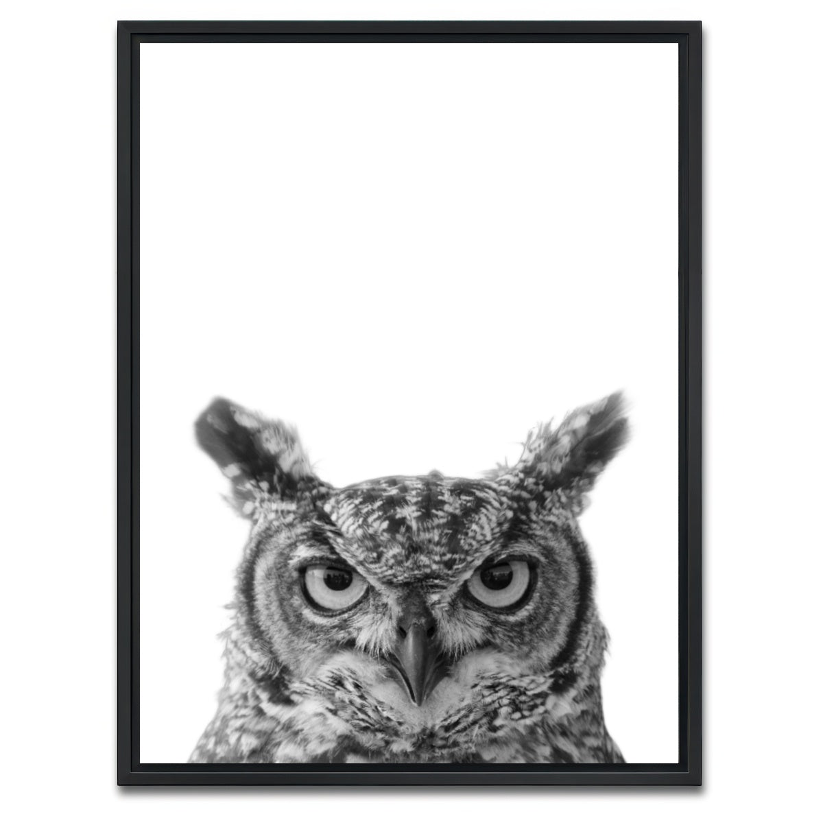 AUTO-MOCKUP WHITE | Owl | 1 Piece | Black Framed Canvas | group=3x4