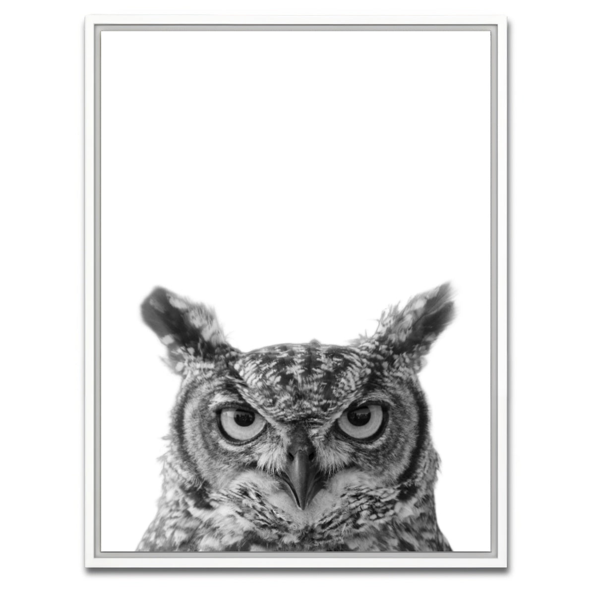 AUTO-MOCKUP WHITE | Owl | 1 Piece | White Framed Canvas | group=3x4