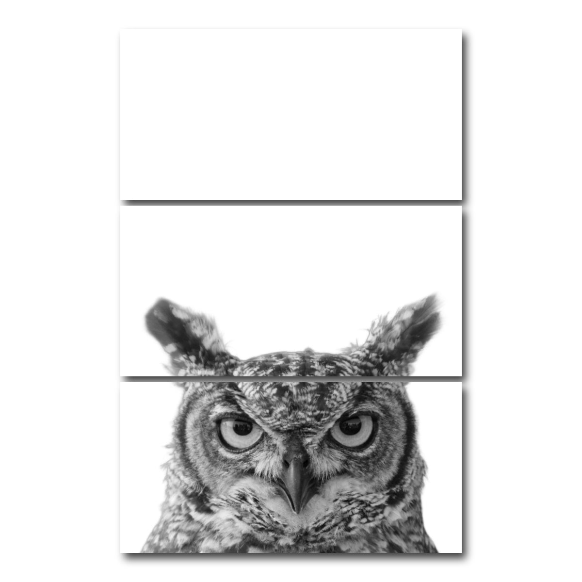 AUTO-MOCKUP WHITE | Owl | 3 Piece | Gallery Wrap Canvas | group=12x24_stacked