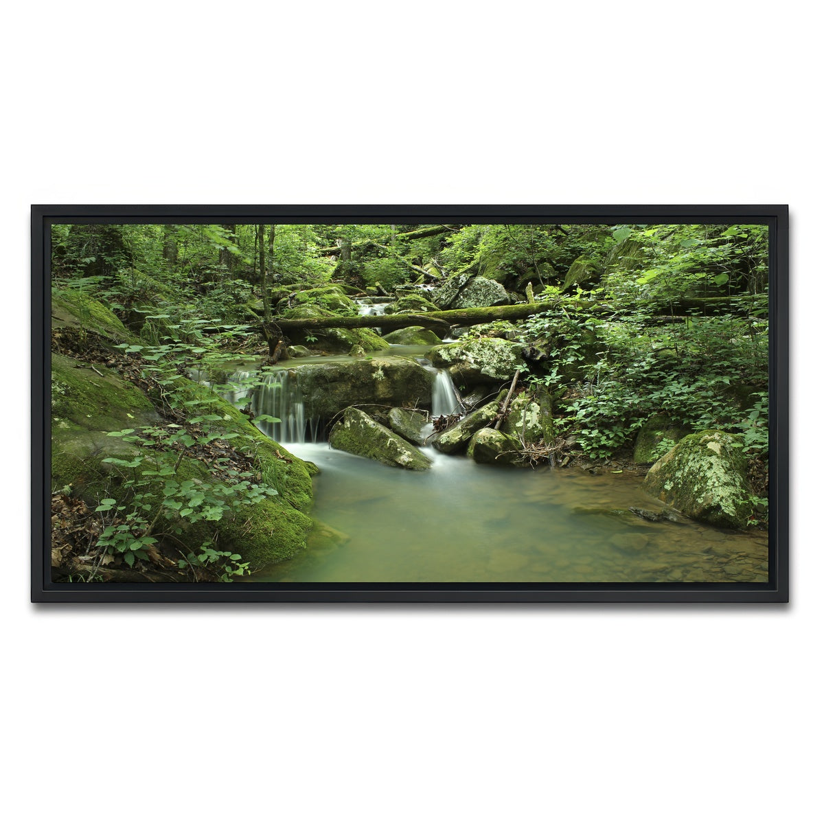 AUTO-MOCKUP WHITE | Ozark National Forest | 1 Piece | Black Framed Canvas | group=2x1