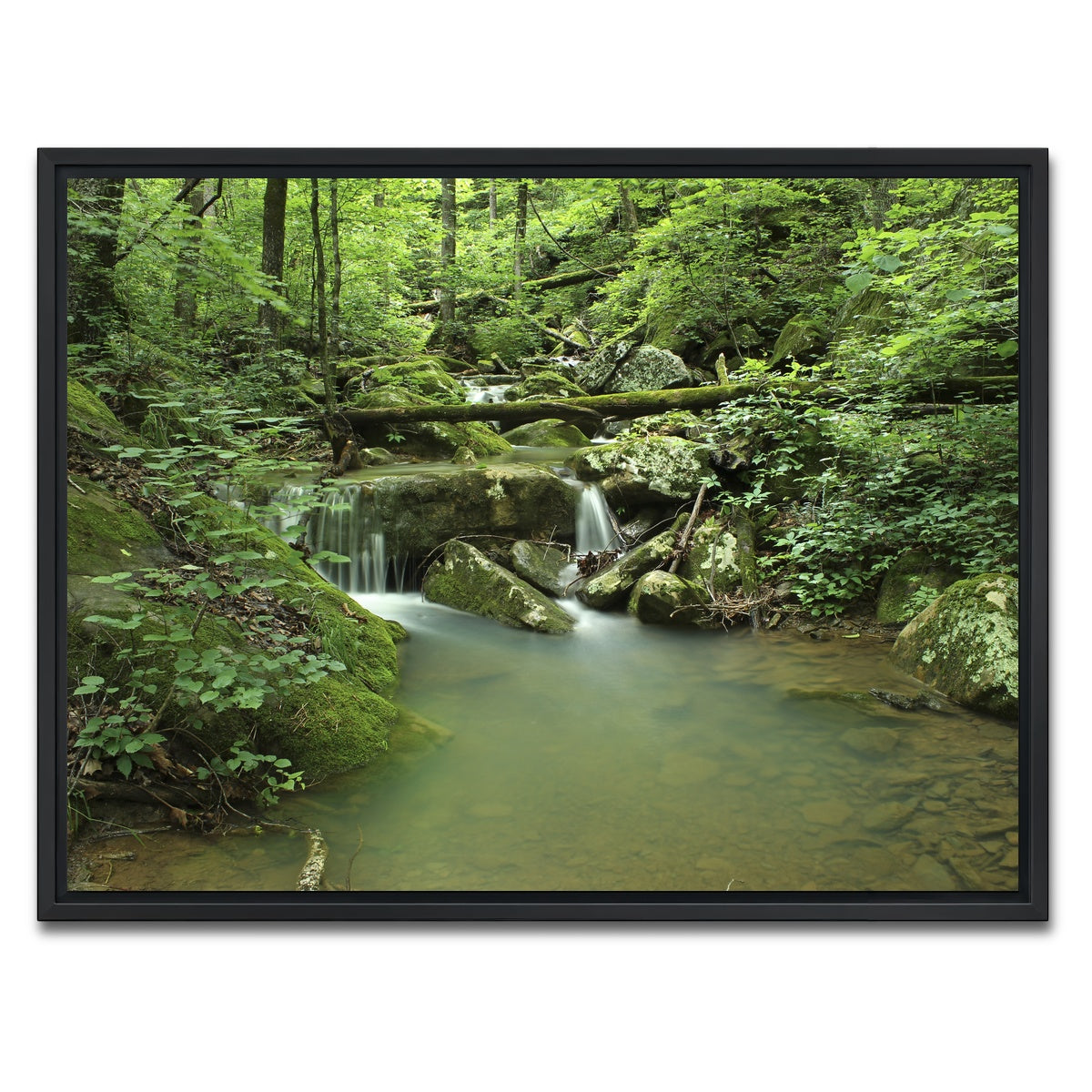 AUTO-MOCKUP WHITE | Ozark National Forest | 1 Piece | Black Framed Canvas | group=4x3