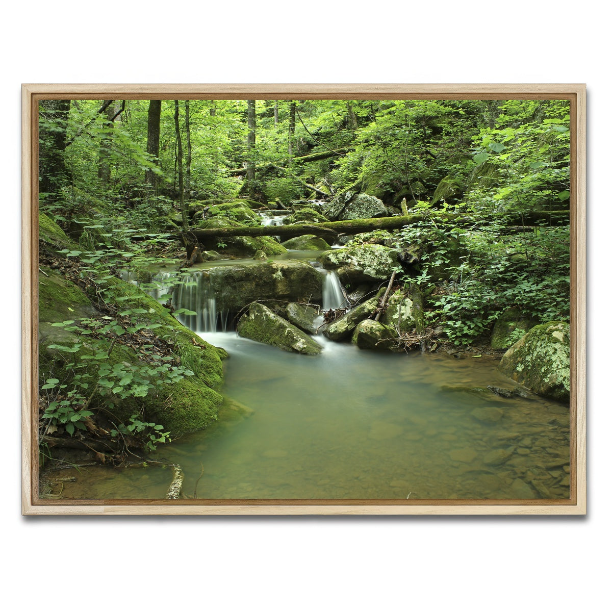 AUTO-MOCKUP WHITE | Ozark National Forest | 1 Piece | Natural Framed Canvas | group=4x3