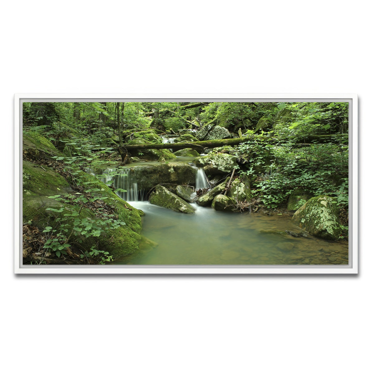 AUTO-MOCKUP WHITE | Ozark National Forest | 1 Piece | White Framed Canvas | group=2x1