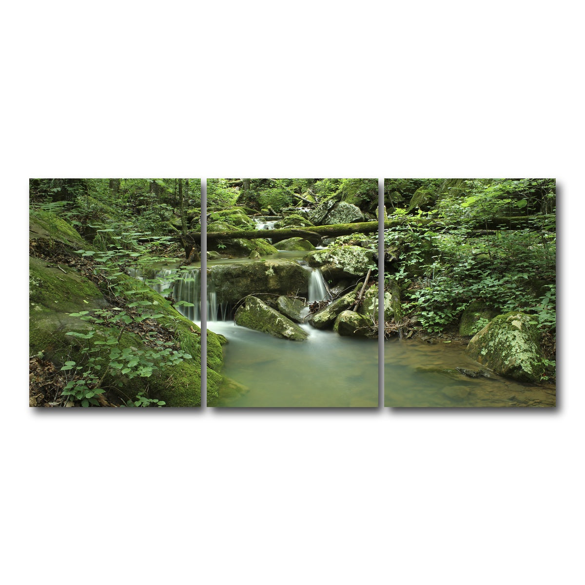 AUTO-MOCKUP WHITE | Ozark National Forest | 3 Piece | Gallery Wrap Canvas | group=18x24