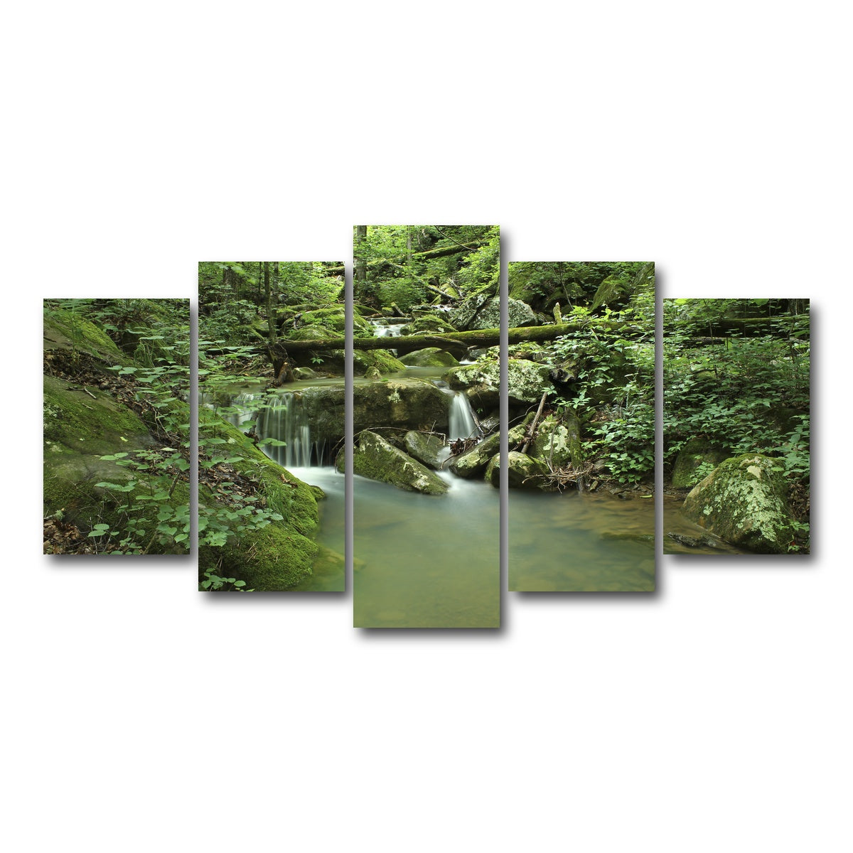 AUTO-MOCKUP WHITE | Ozark National Forest | 5 Piece | Gallery Wrap Canvas | group=5_normal
