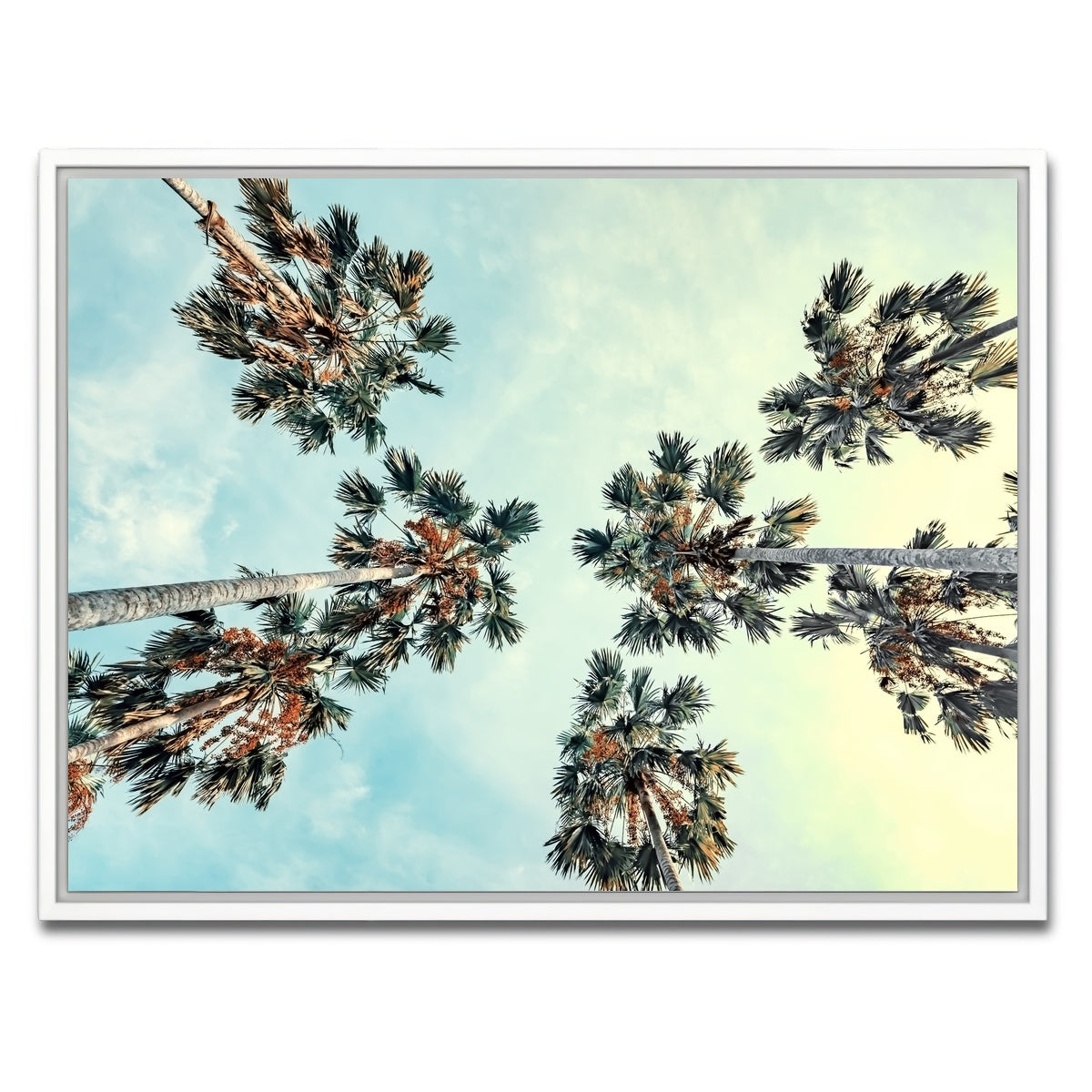 AUTO-MOCKUP WHITE | Palm Trees Blue Sky | 1 Piece | White Framed Canvas | group=4x3