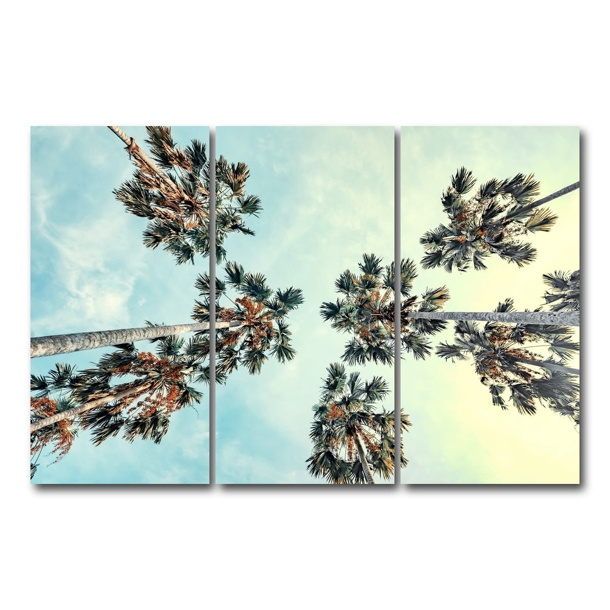 AUTO-MOCKUP WHITE | Palm Trees Blue Sky | 3 Piece | Gallery Wrap Canvas | group=12x24