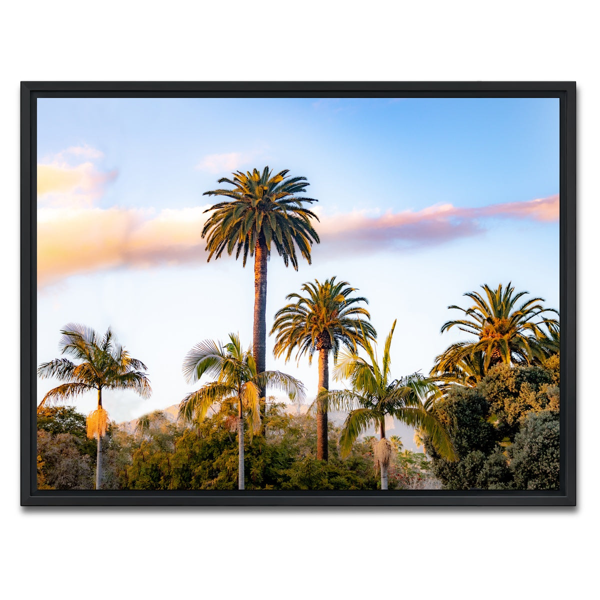 AUTO-MOCKUP WHITE | Palm Trees | 1 Piece | Black Framed Canvas | group=4x3