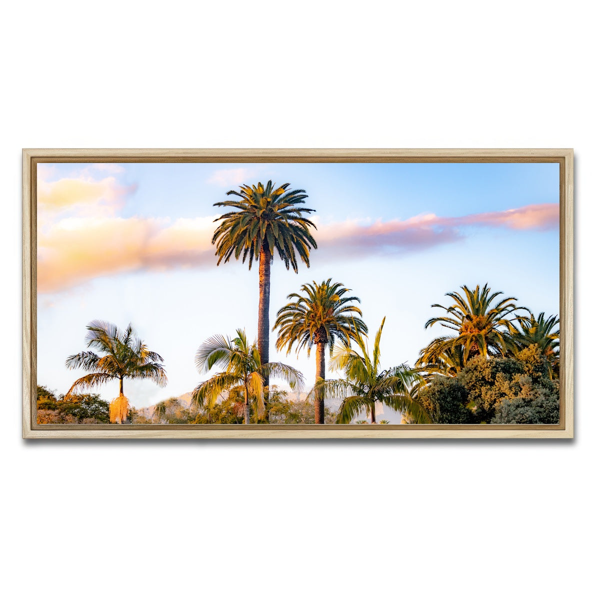 AUTO-MOCKUP WHITE | Palm Trees | 1 Piece | Natural Framed Canvas | group=2x1