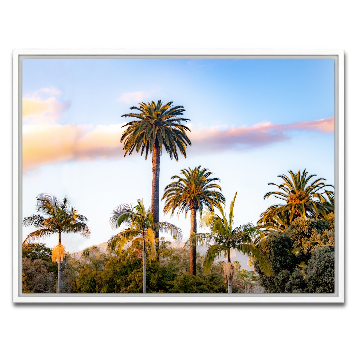 AUTO-MOCKUP WHITE | Palm Trees | 1 Piece | White Framed Canvas | group=4x3