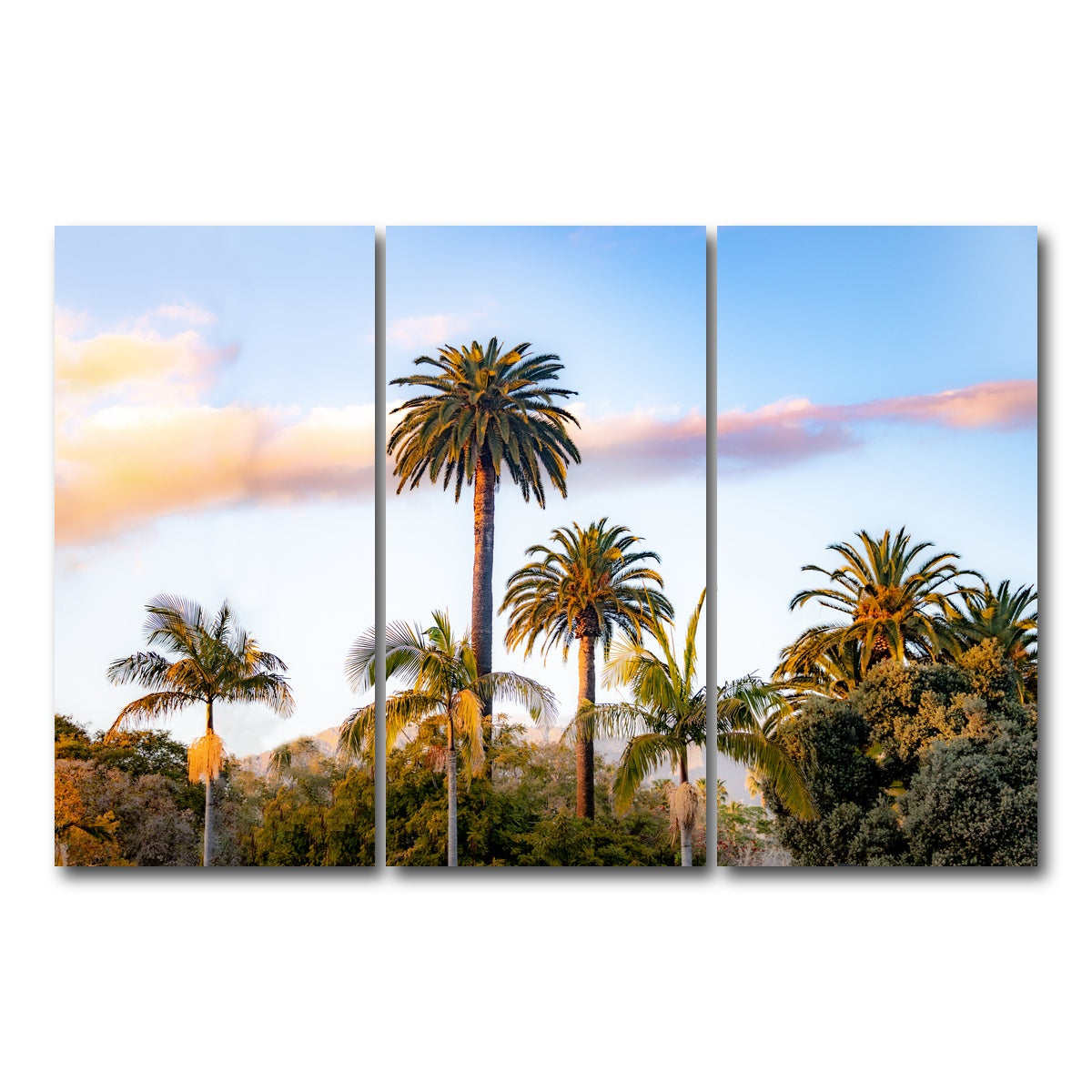 AUTO-MOCKUP WHITE | Palm Trees | 3 Piece | Gallery Wrap Canvas | group=12x24