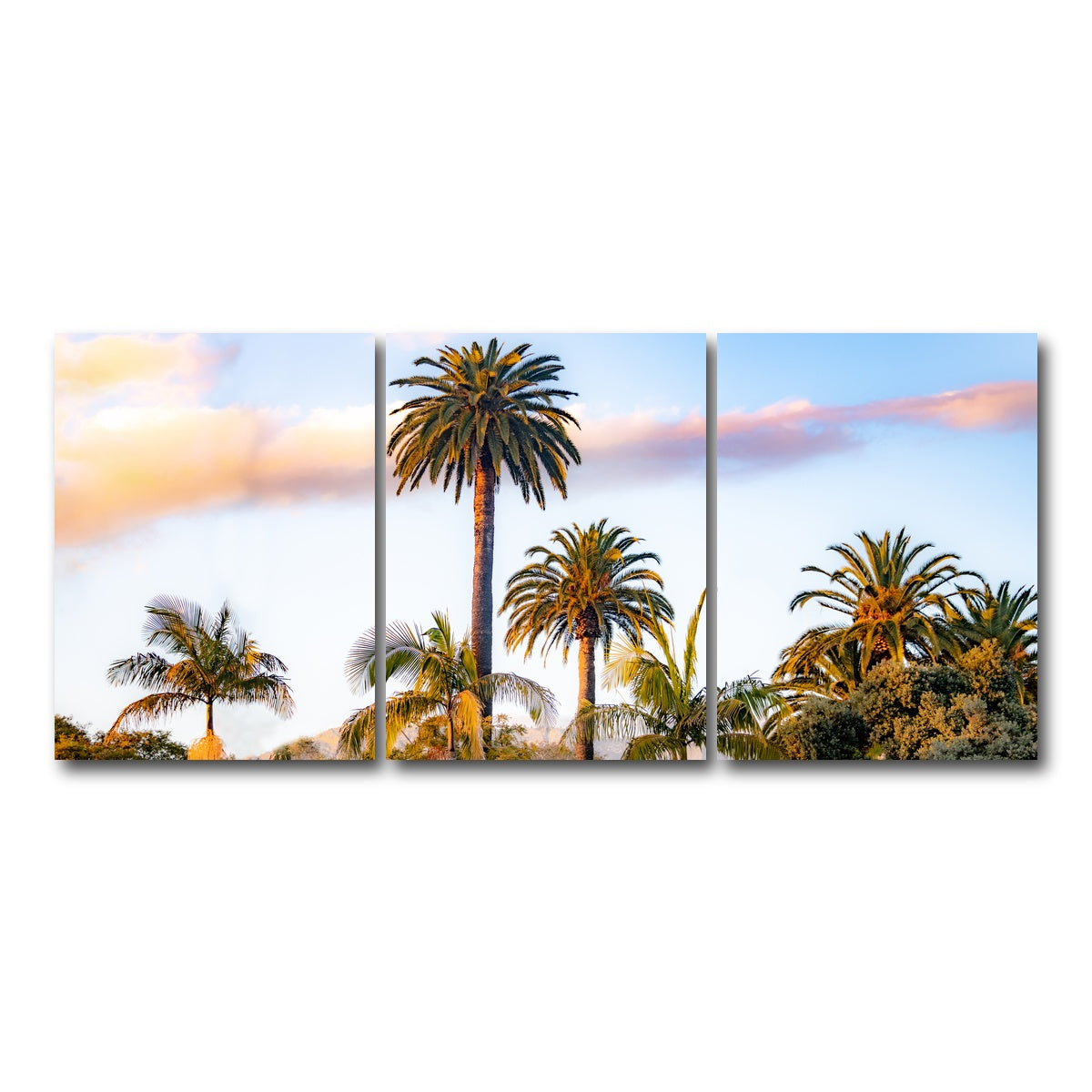 AUTO-MOCKUP WHITE | Palm Trees | 3 Piece | Gallery Wrap Canvas | group=18x24