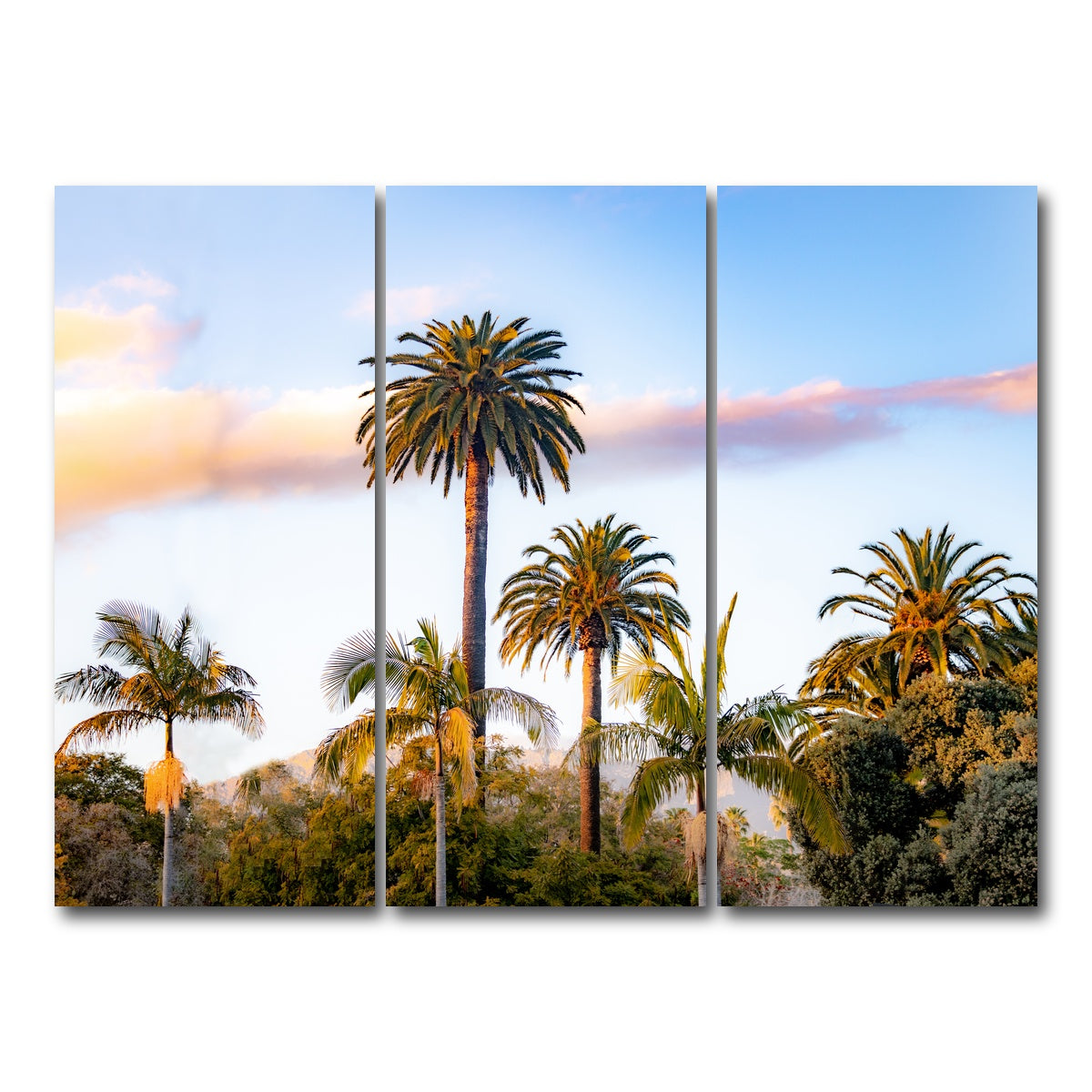 AUTO-MOCKUP WHITE | Palm Trees | 3 Piece | Gallery Wrap Canvas | group=8x18