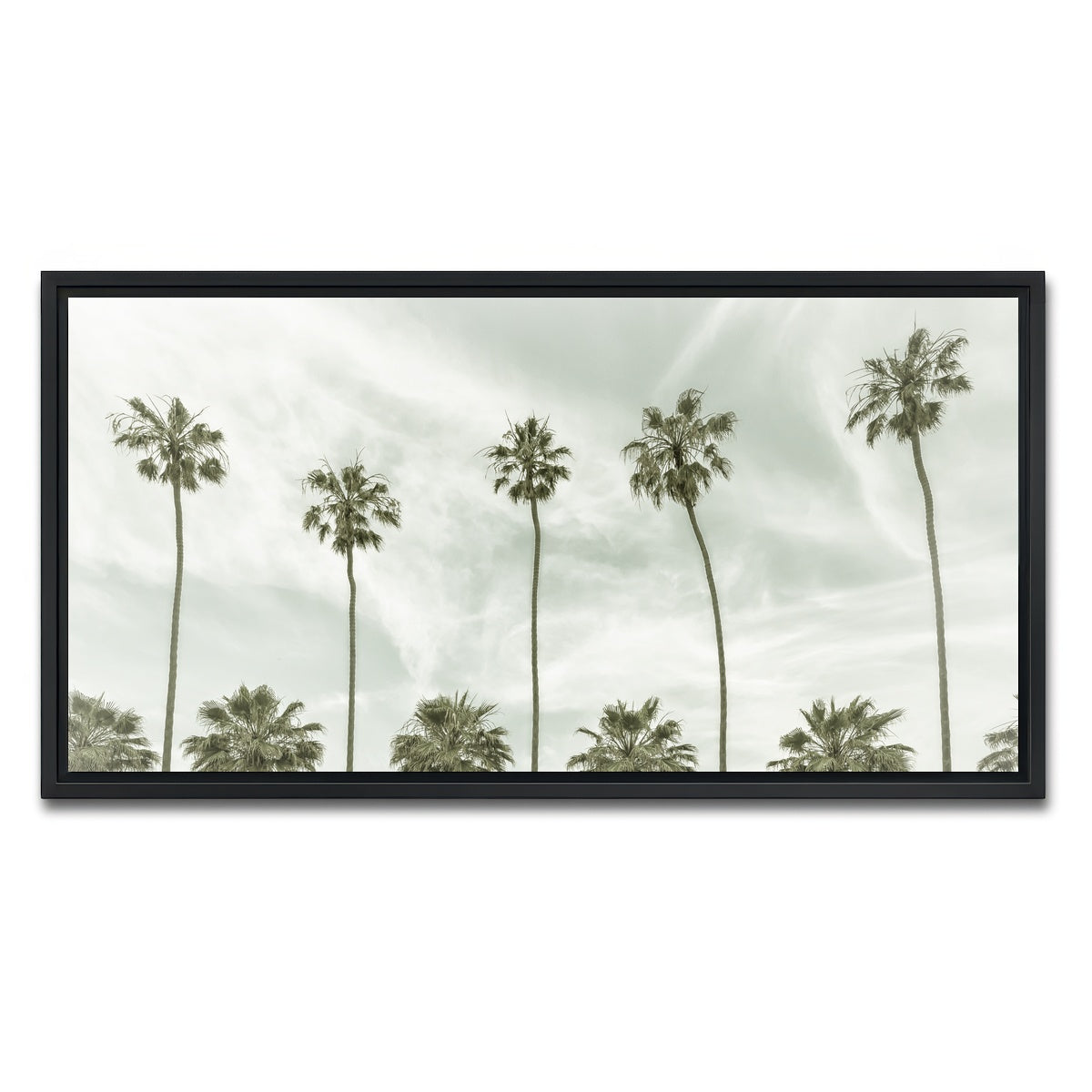 AUTO-MOCKUP WHITE | Palm Trees and Clouds | 1 Piece | Black Framed Canvas | group=2x1