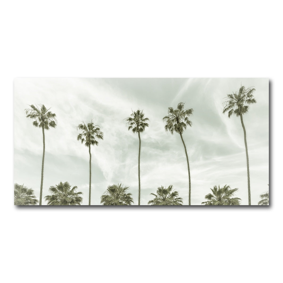 AUTO-MOCKUP WHITE | Palm Trees and Clouds | 1 Piece | Gallery Wrap Canvas | group=2x1