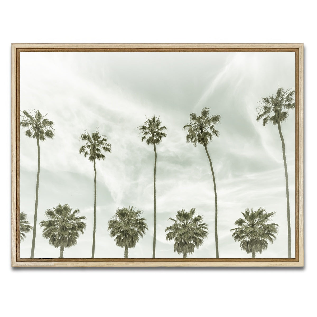 AUTO-MOCKUP WHITE | Palm Trees and Clouds | 1 Piece | Natural Framed Canvas | group=4x3