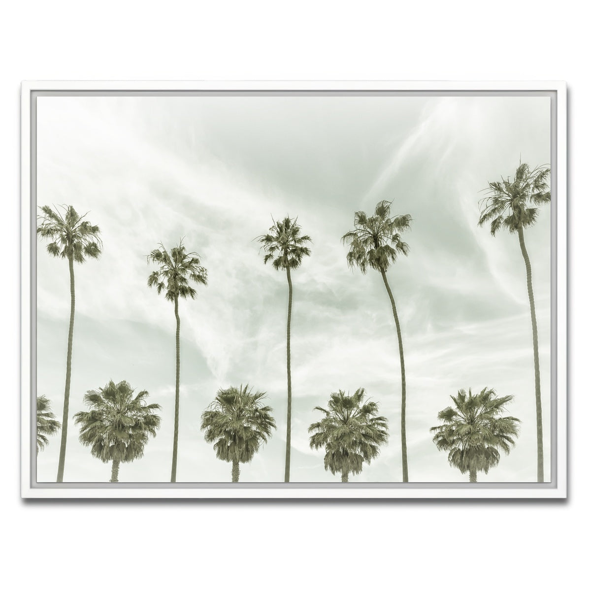 AUTO-MOCKUP WHITE | Palm Trees and Clouds | 1 Piece | White Framed Canvas | group=4x3