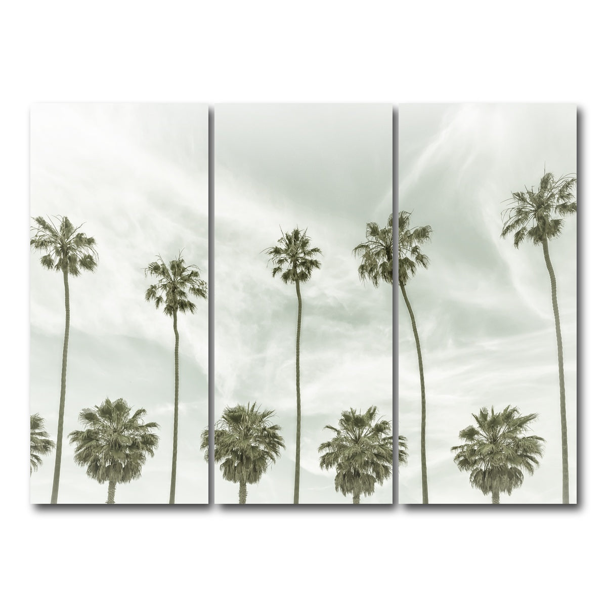 AUTO-MOCKUP WHITE | Palm Trees and Clouds | 3 Piece | Gallery Wrap Canvas | group=8x18