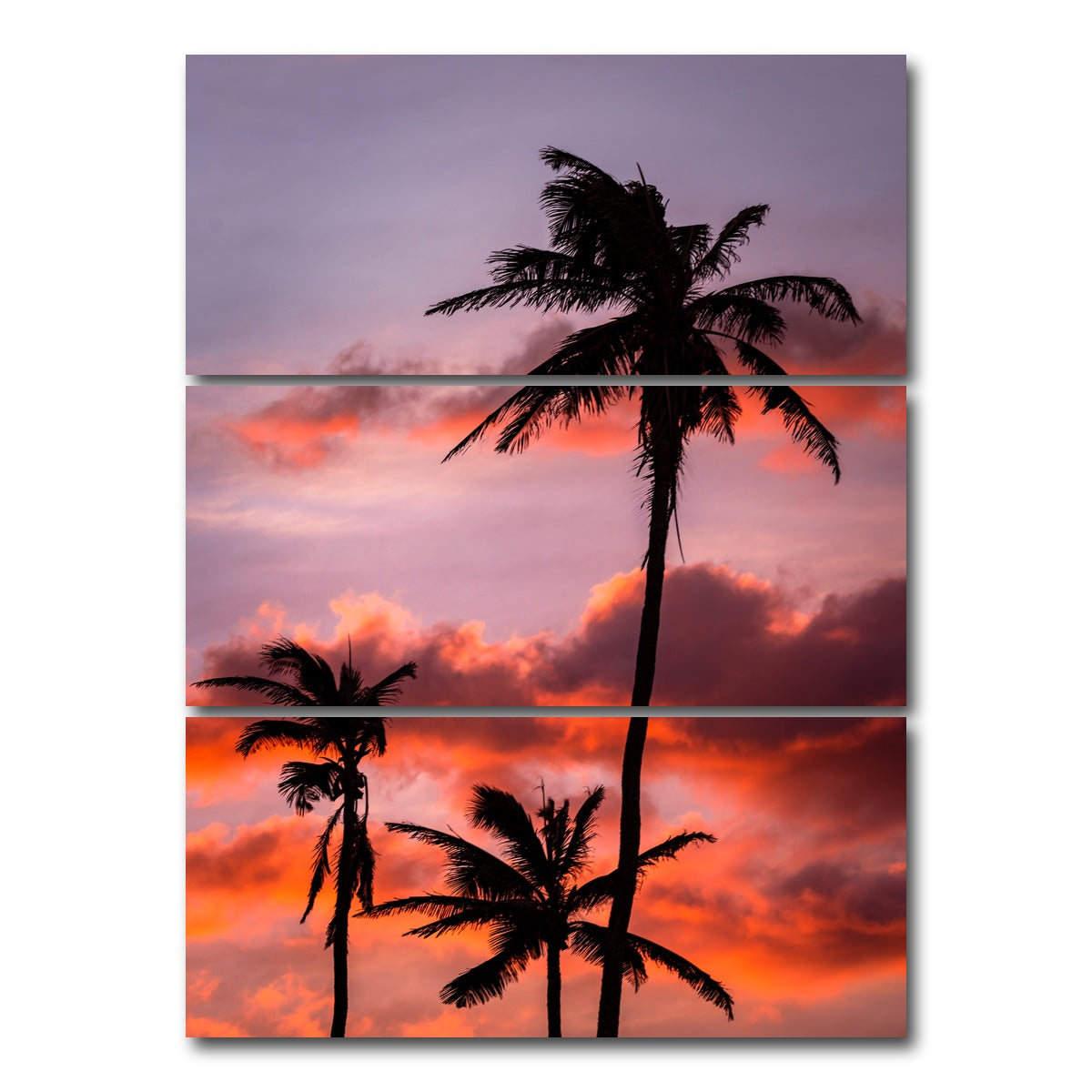 AUTO-MOCKUP WHITE | Palm Trees at Sunset | 3 Piece | Gallery Wrap Canvas | group=8x18_stacked