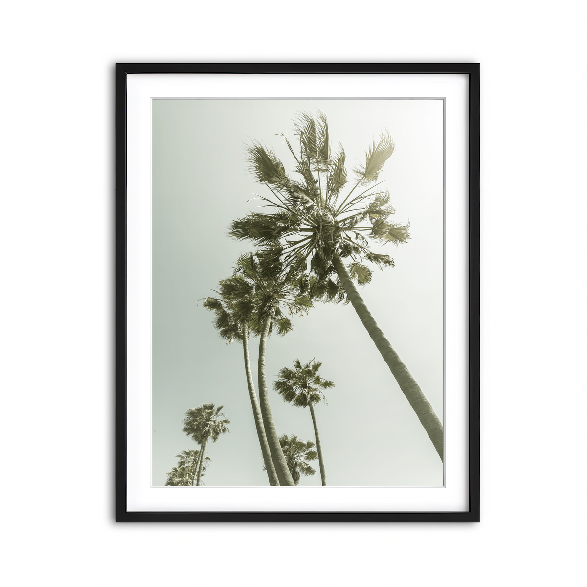 Framed Print 3x4 Black