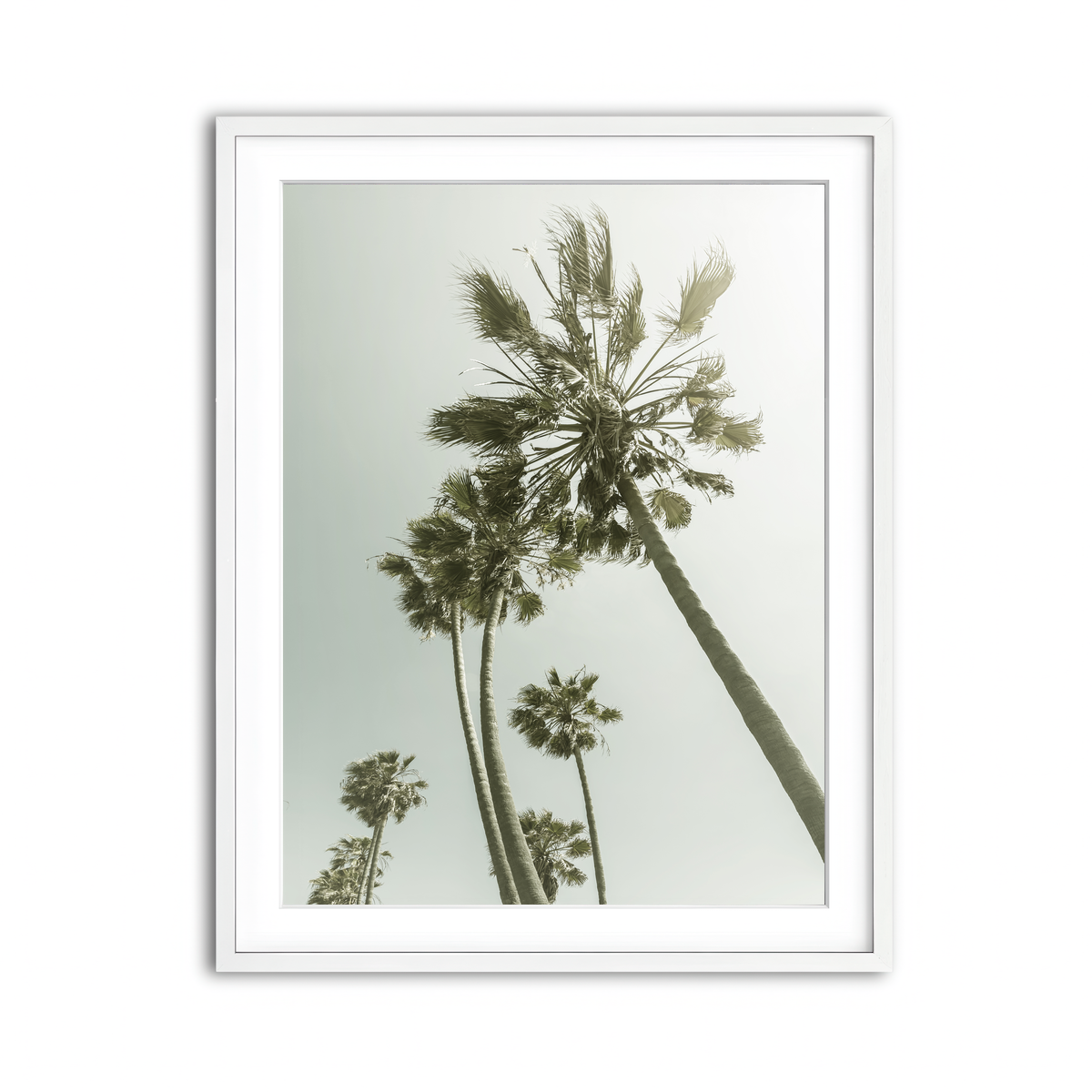 Framed Print 3x4 White