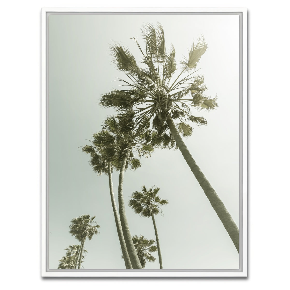 AUTO-MOCKUP WHITE | Palm Trees in the sun | 1 Piece | White Framed Canvas | group=3x4