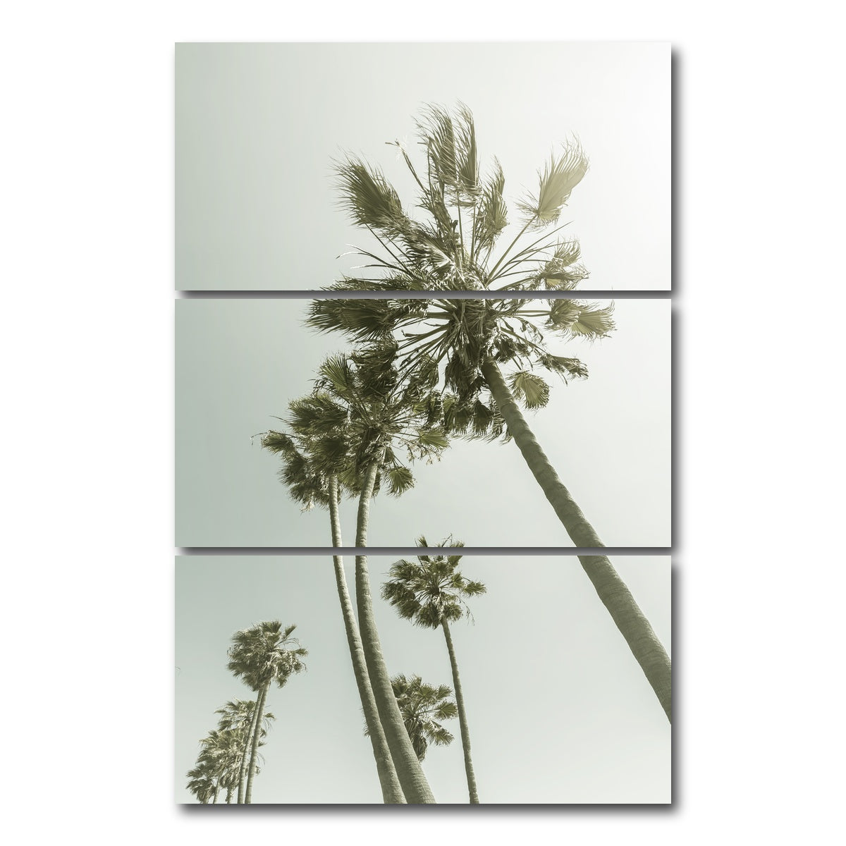 AUTO-MOCKUP WHITE | Palm Trees in the sun | 3 Piece | Gallery Wrap Canvas | group=12x24_stacked