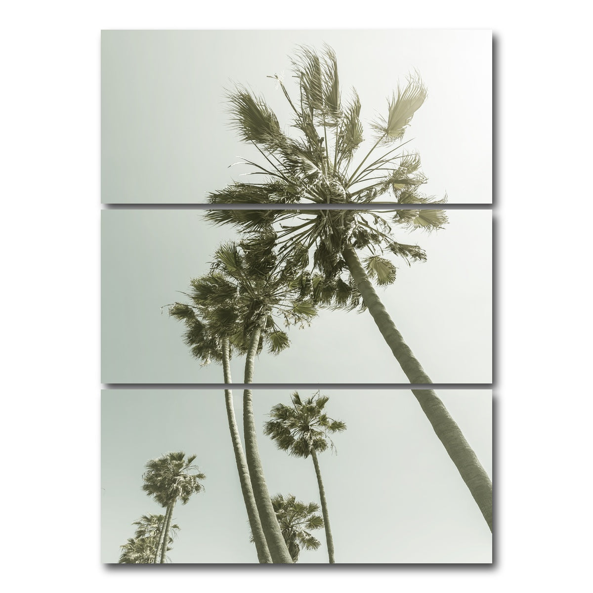 AUTO-MOCKUP WHITE | Palm Trees in the sun | 3 Piece | Gallery Wrap Canvas | group=8x18_stacked
