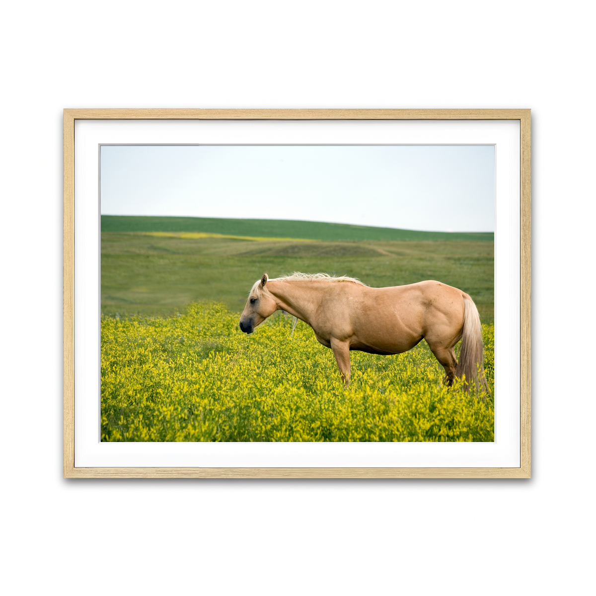Framed Print 4x3 Natural