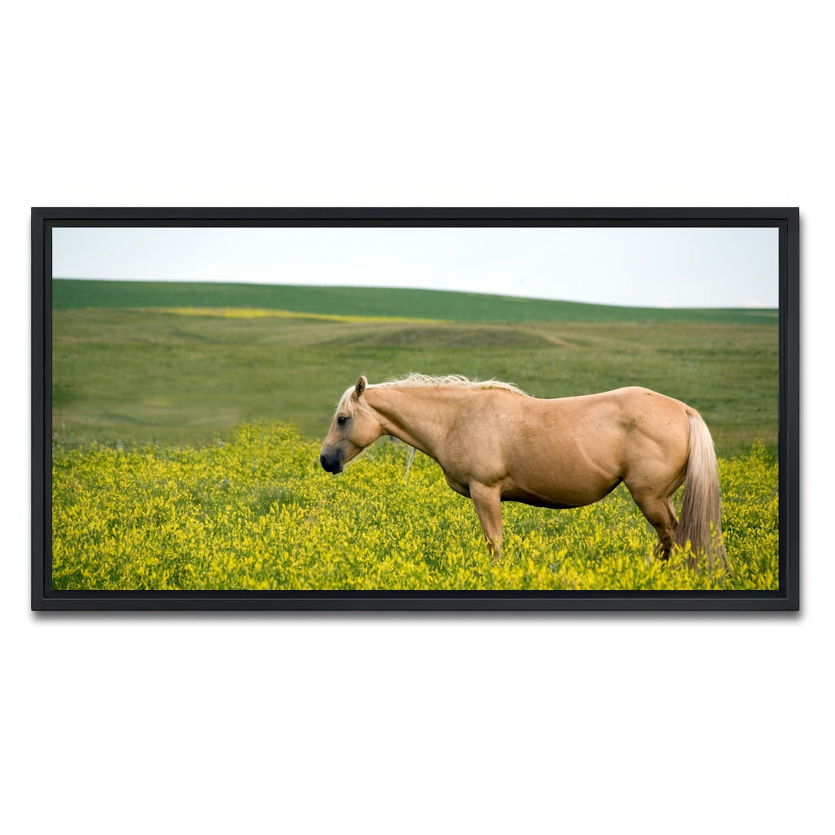 AUTO-MOCKUP WHITE | Palomino quarter horse | 1 Piece | Black Framed Canvas | group=2x1