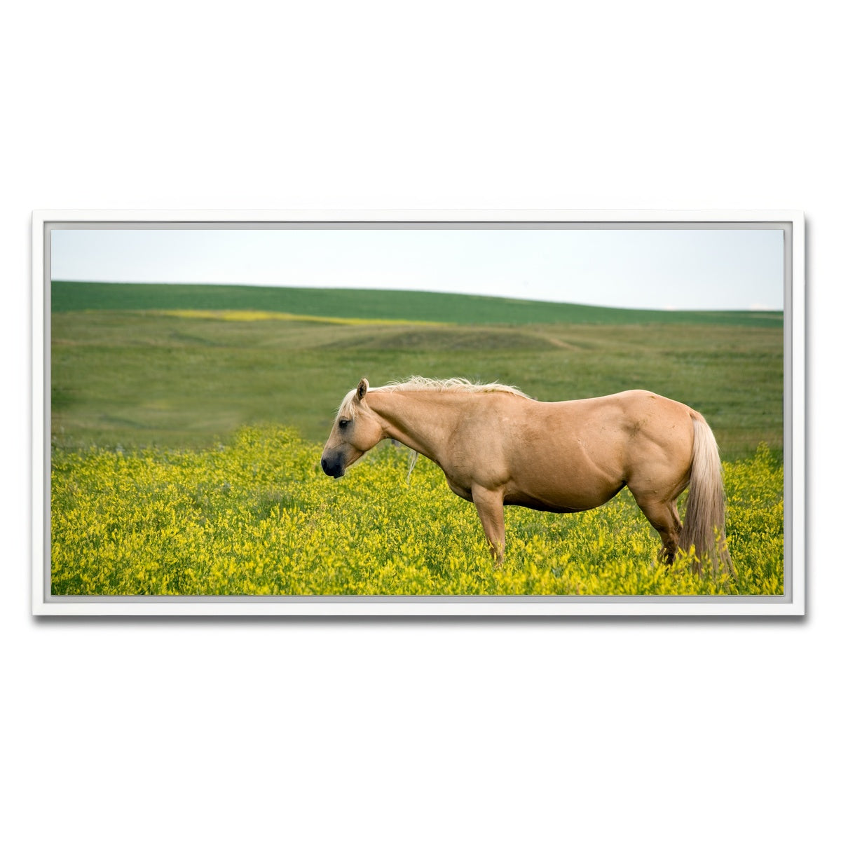 AUTO-MOCKUP WHITE | Palomino quarter horse | 1 Piece | White Framed Canvas | group=2x1
