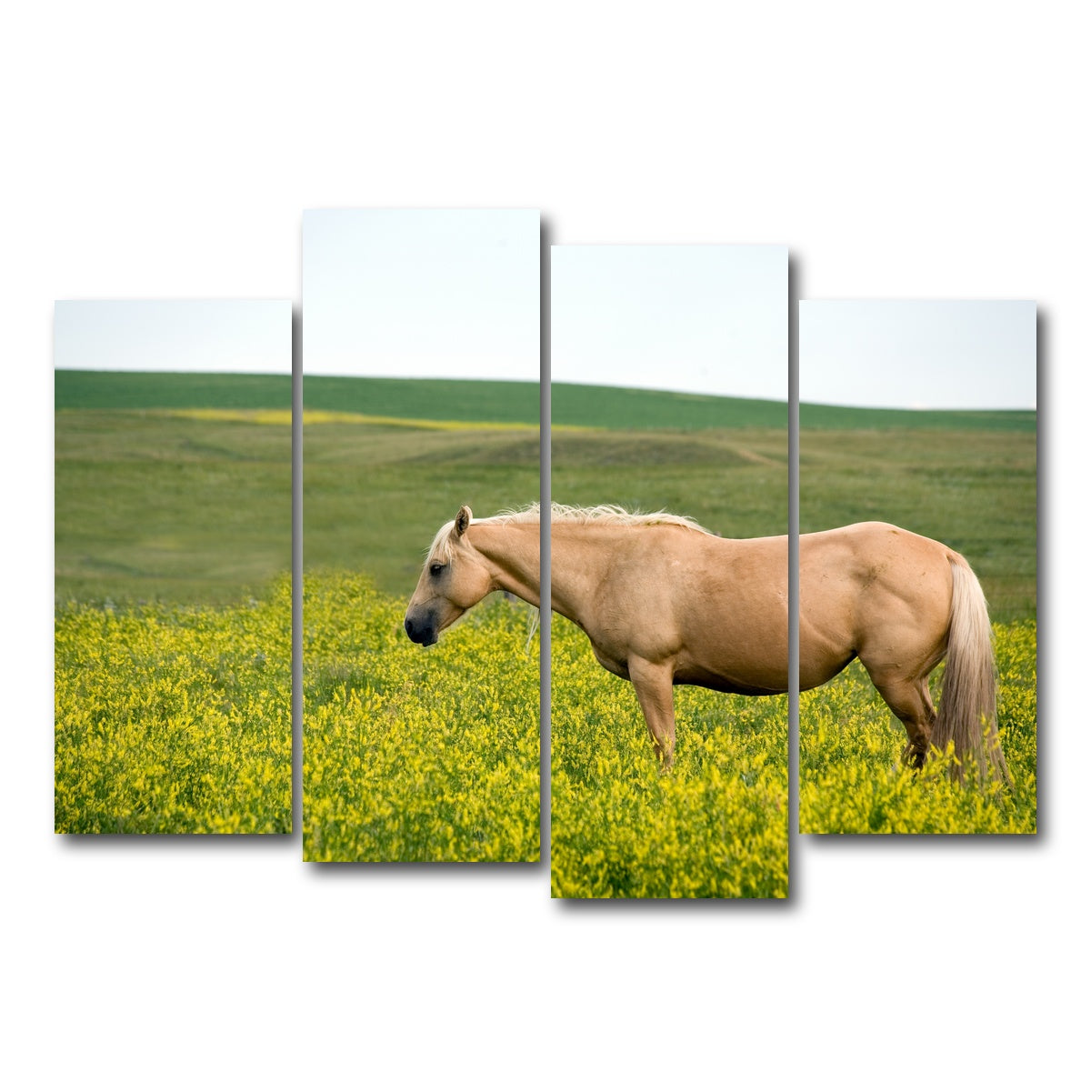 AUTO-MOCKUP WHITE | Palomino quarter horse | 4 Piece | Gallery Wrap Canvas | group=4_normal
