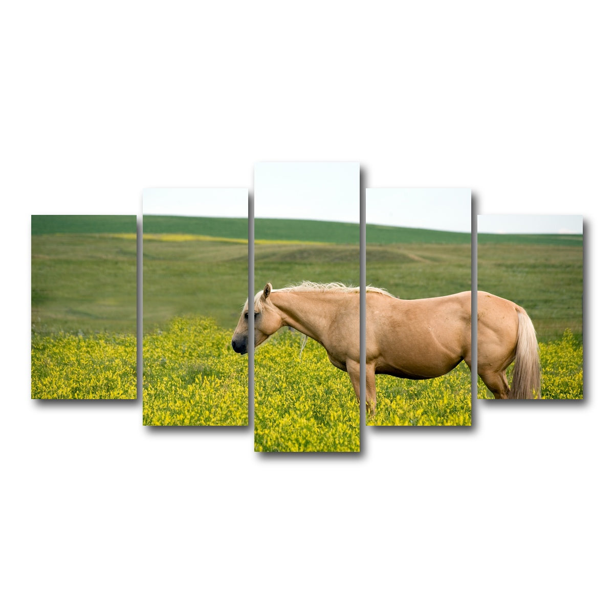 AUTO-MOCKUP WHITE | Palomino quarter horse | 5 Piece | Gallery Wrap Canvas | group=5_normal