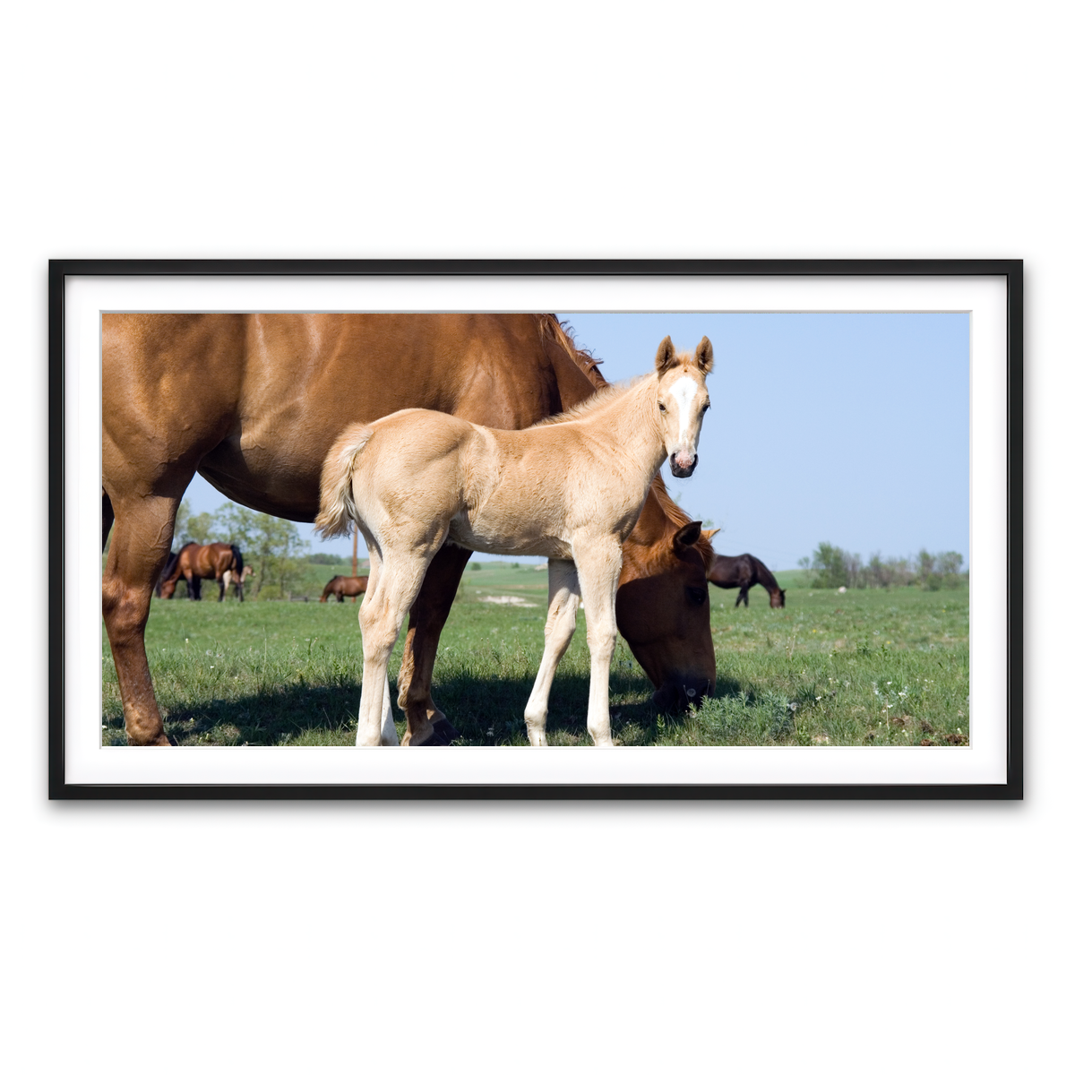 Framed Print 2x1 Black