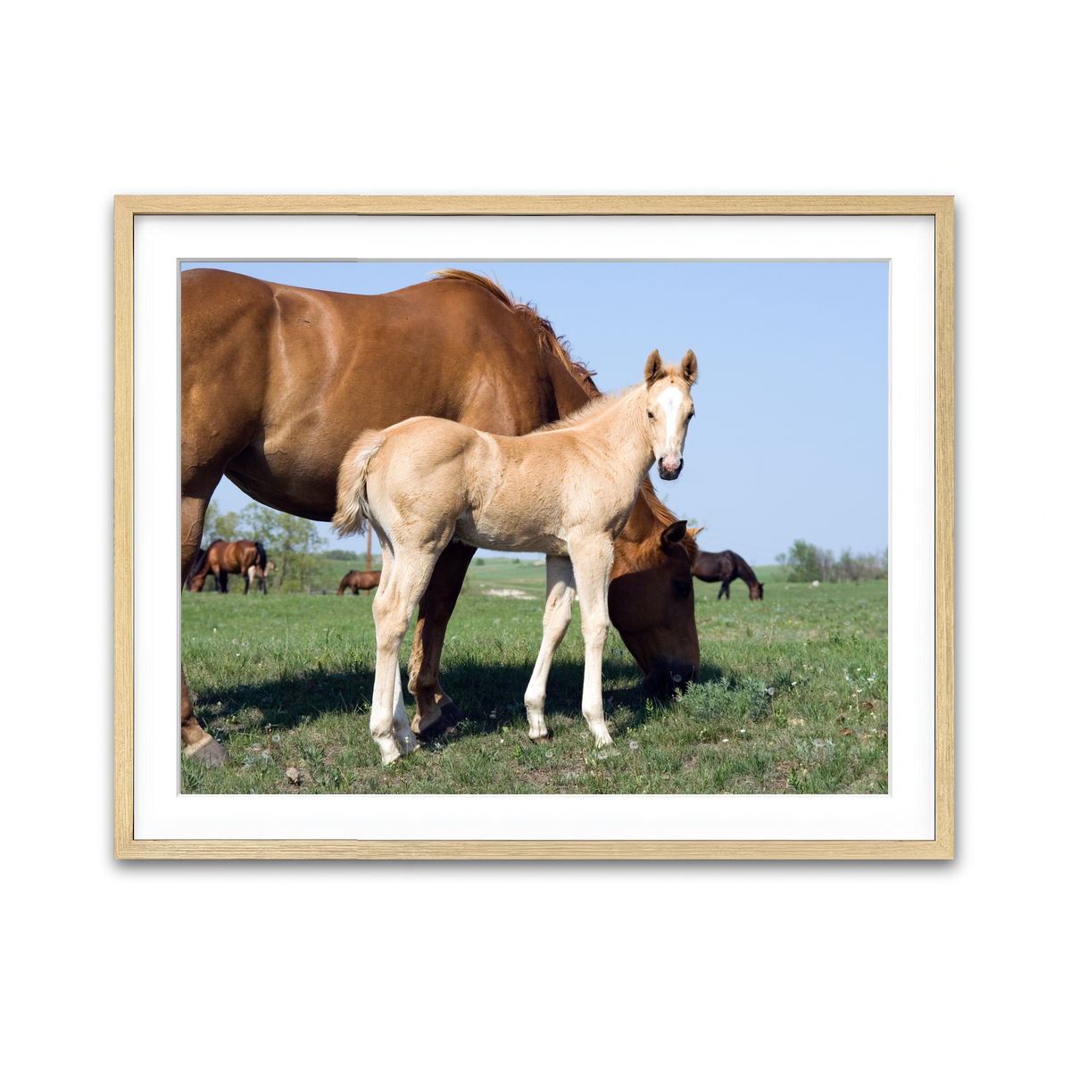 Framed Print 4x3 Natural