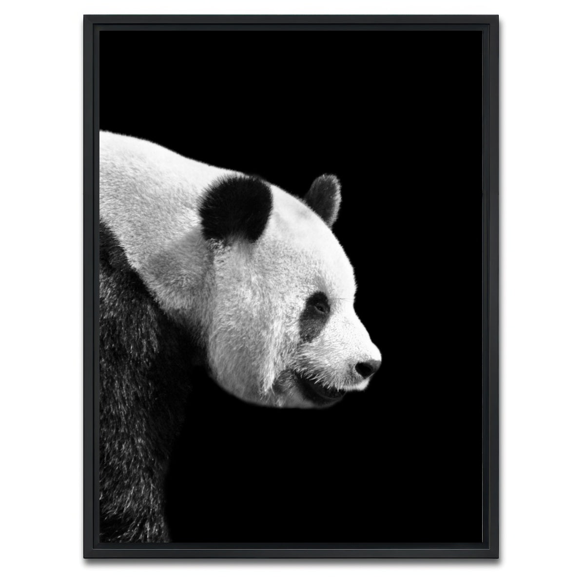 AUTO-MOCKUP WHITE | Panda | 1 Piece | Black Framed Canvas | group=3x4