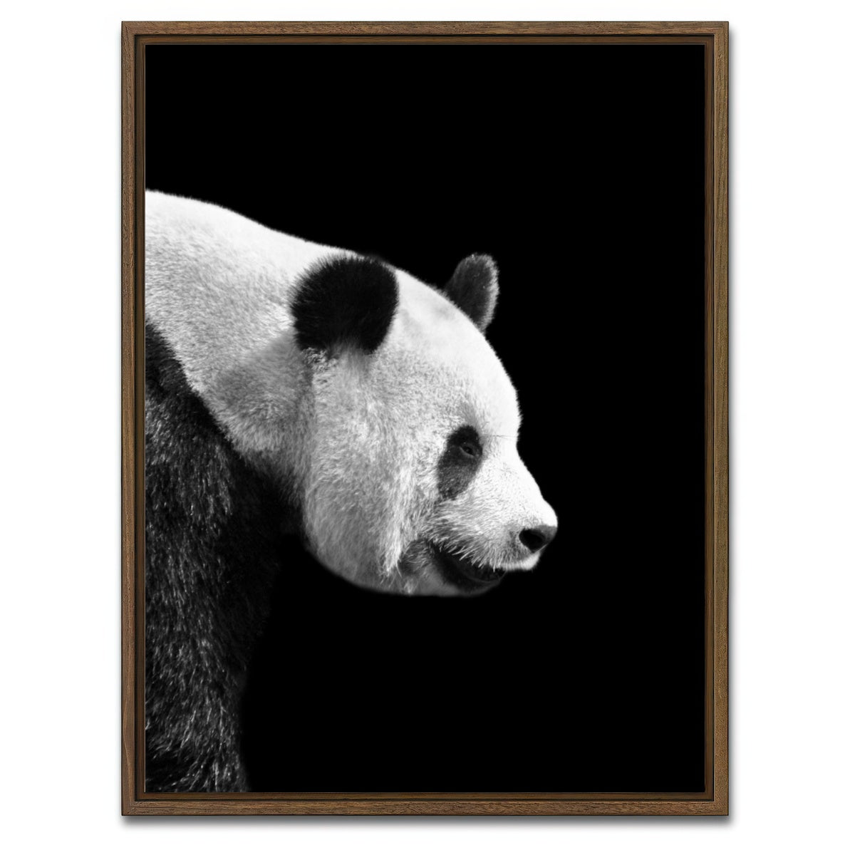 AUTO-MOCKUP WHITE | Panda | 1 Piece | Walnut Framed Canvas | group=3x4