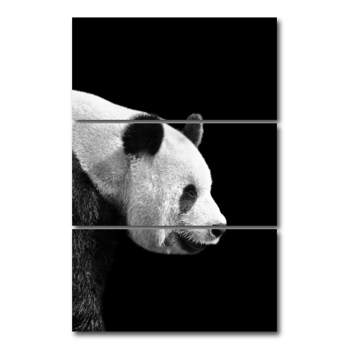 AUTO-MOCKUP WHITE | Panda | 3 Piece | Gallery Wrap Canvas | group=12x24_stacked